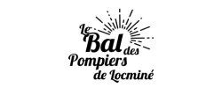 Le Galliard Martial Electricien Baud Logo 3