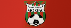 Le Galliard Martial Electricien Baud Logo2