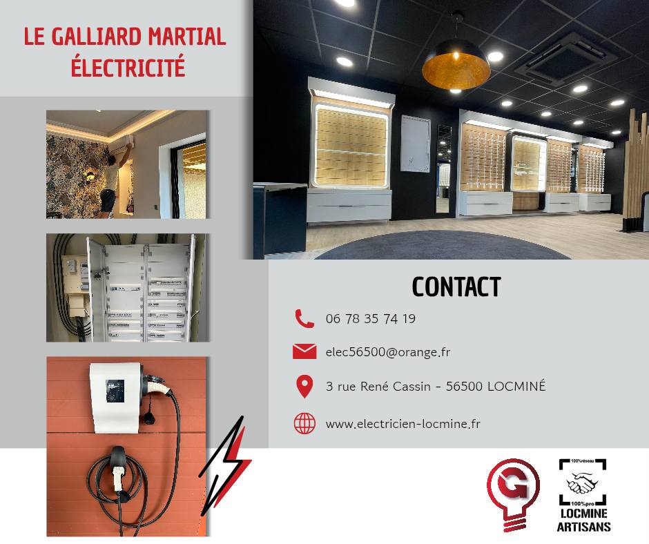 Le Galliard Martial Electricien Baud 492612271 669057122536560 7513302921718187729 N
